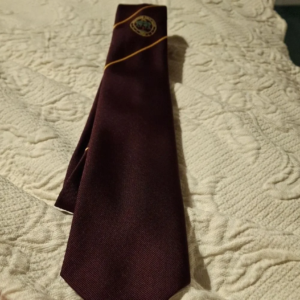 Elegant Burgundy Tie with Gold Accents